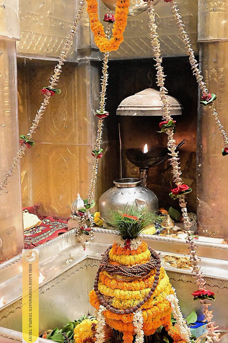 ShriVishwanath's tweet photo. श्री काशी विश्वनाथ जी की मंगला आरती I
#kashivishwanath #kashi #sanatandharma #banarasisilk https://t.co/h4bGUoy45Z