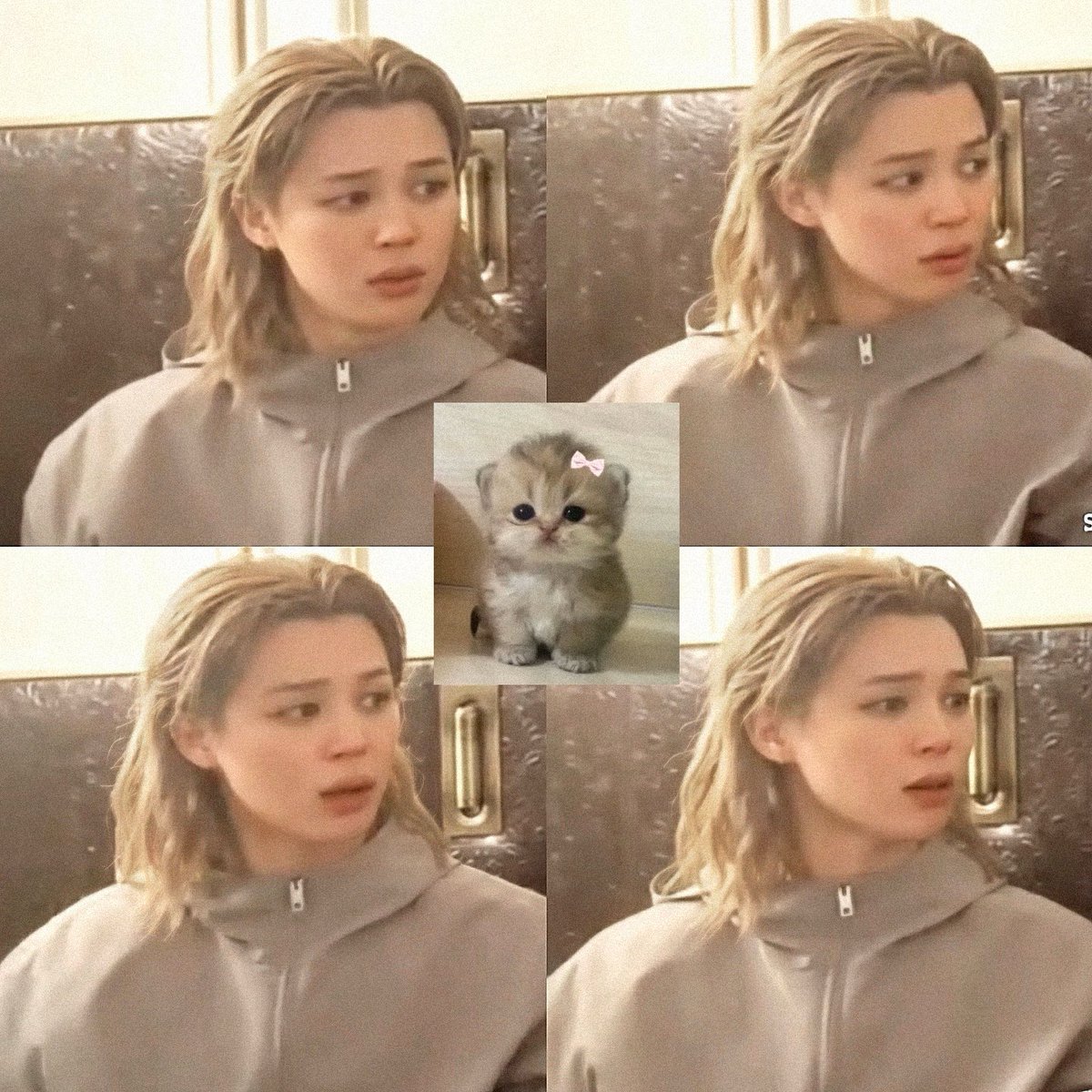 jiminourdiva's tweet photo. Kitten mimi 🥹☹️ https://t.co/JDUdtTy1ec