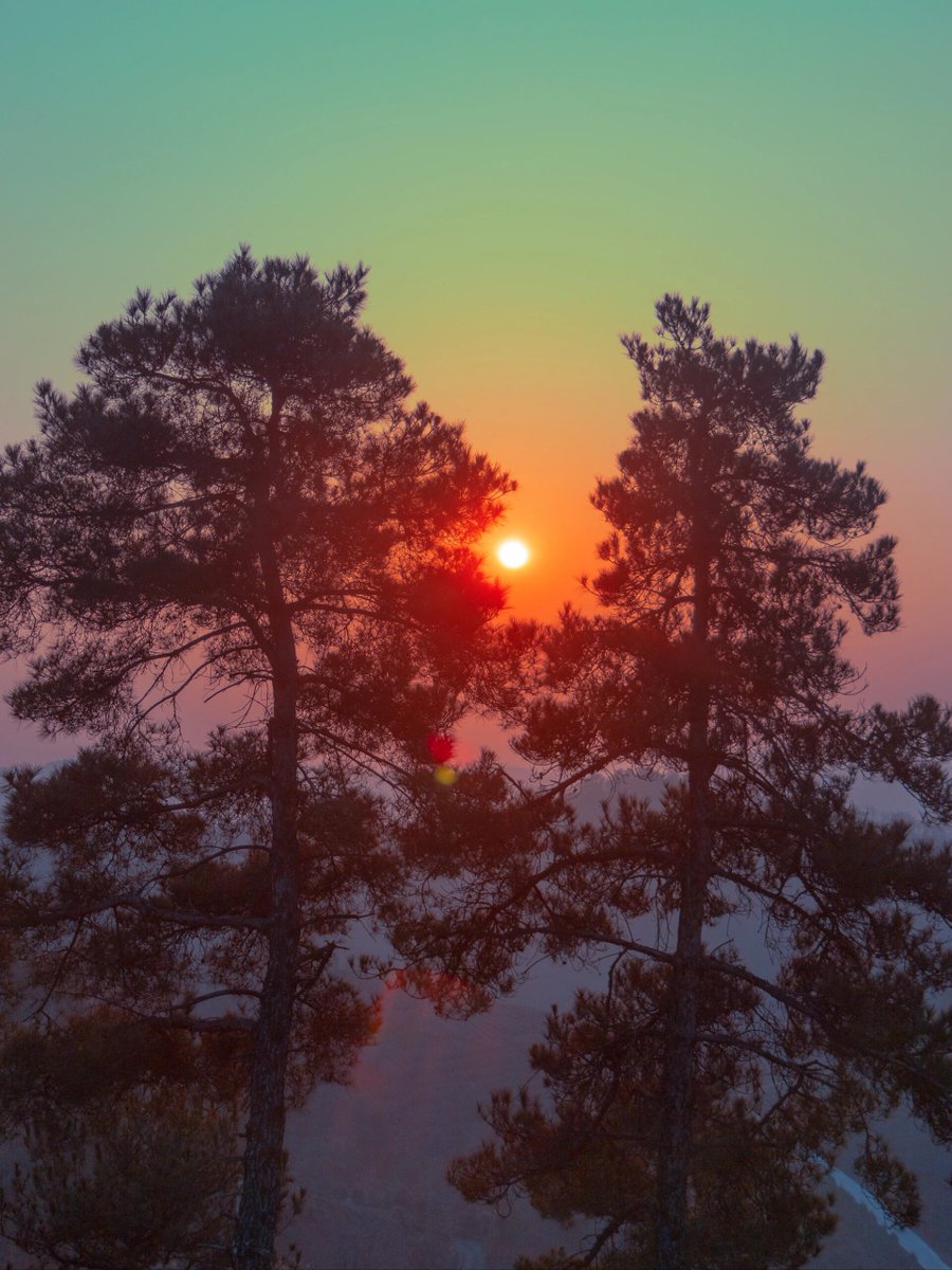 GenevievCCS74R's tweet photo. New to photography Start with mastering natural light—shoot during golden hour (1hr after sunrise or before sunset) for soft, warm tones that make every shot look professional! https://t.co/SqroFXfhx6