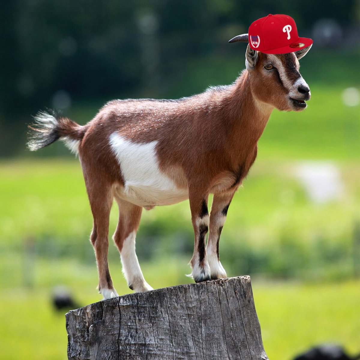 ArcainiLuke's tweet photo. Derek Hill since joining the Phillies https://t.co/j91Kk2hklO