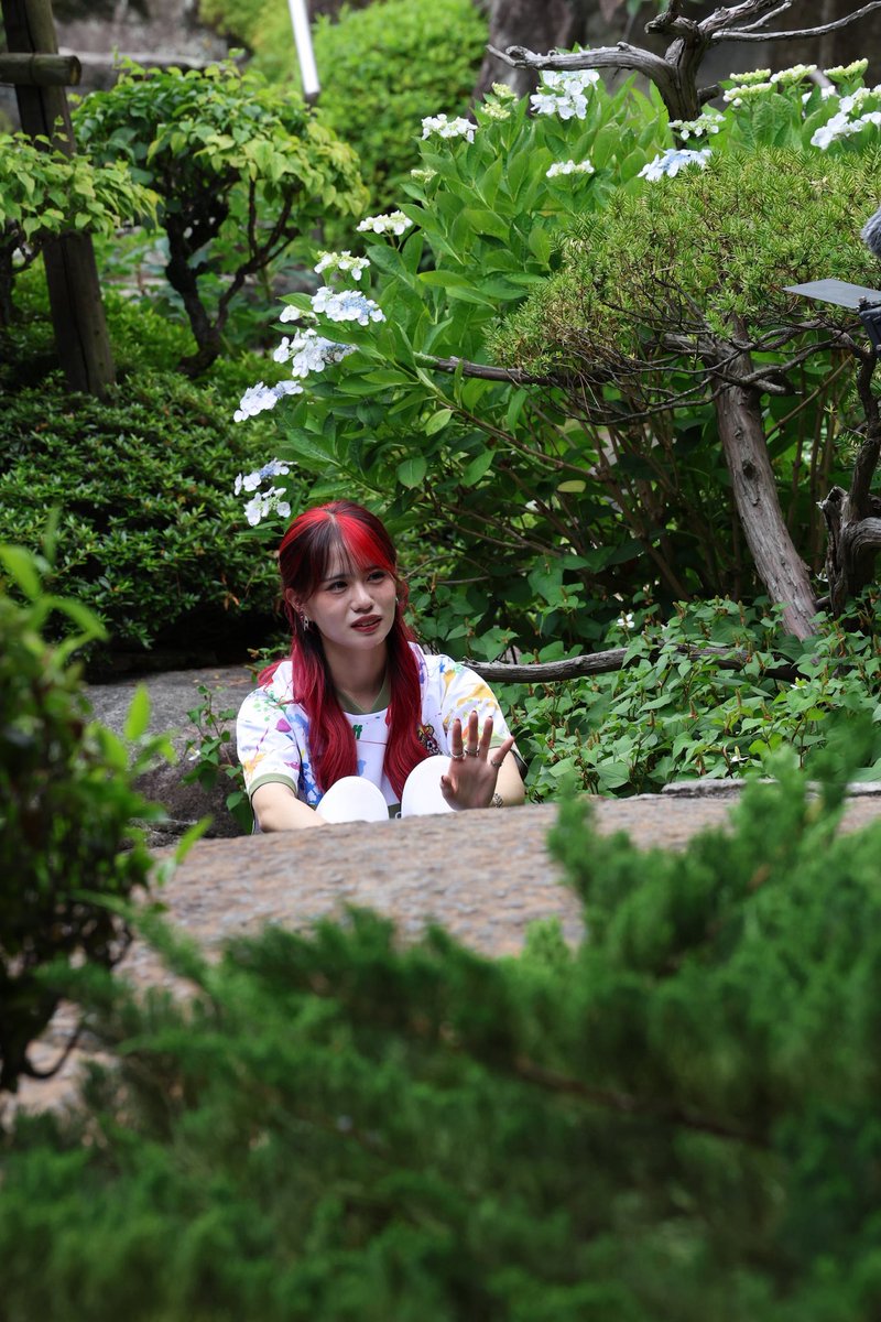 あしざるFC かにゃ (@ashisalfc_kanya) / Posts / X