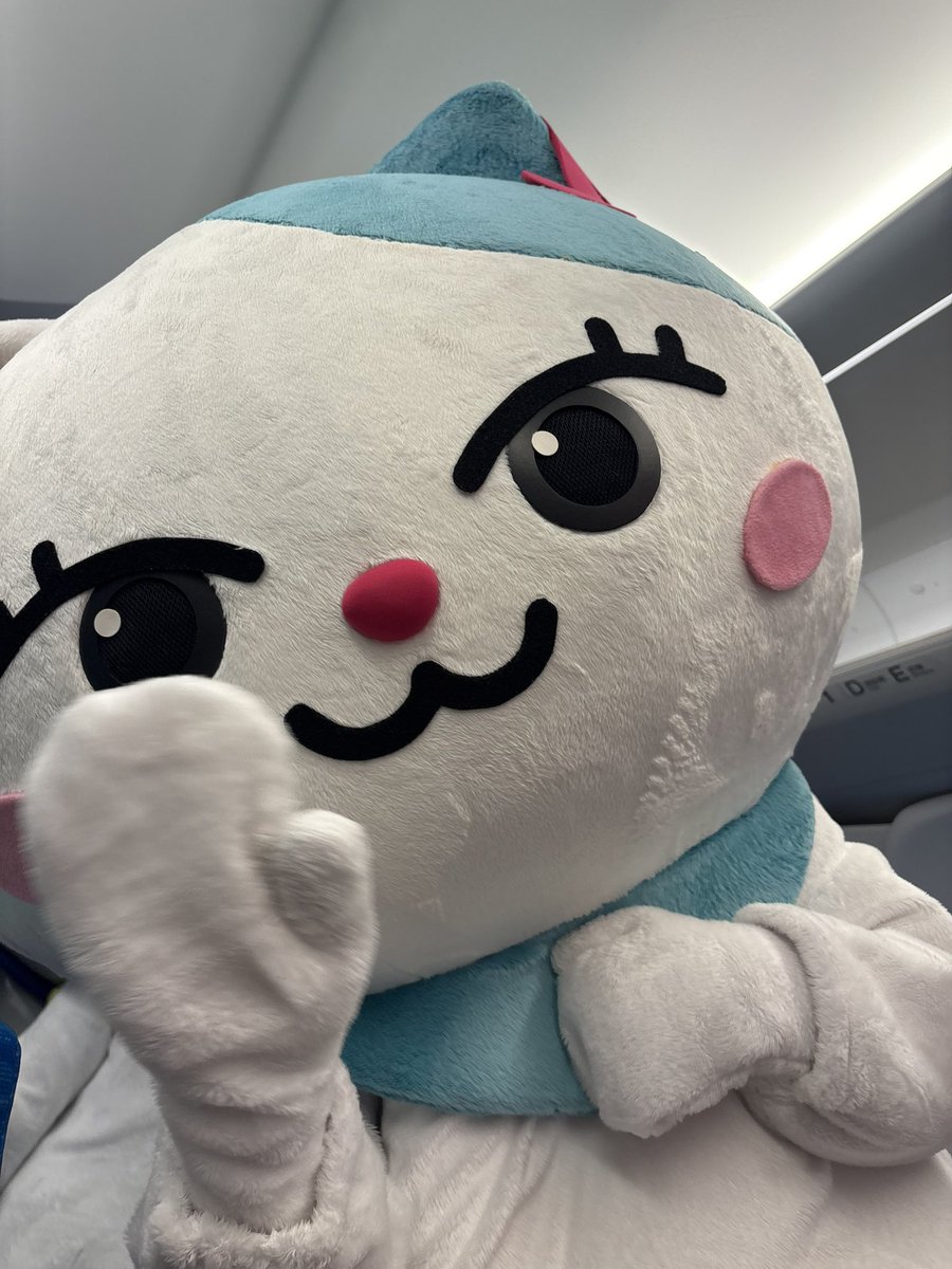 amy___D's tweet photo. 確定ファンサもらった!!!!🤣🐱💚🦙❤️
#MAYUKA #マユカ #Lucat #Llanu
#推し旅 #JR東海 https://t.co/qZjNAU5lXs