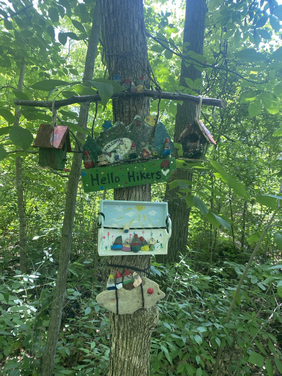 Jdavis_Halton's tweet photo. Taking a walk within the city limits doesn’t always mean condos and concrete. A little bit of Heaven awaits at #BronteCreekProvincialPark #trees #HaltonRegion #Ontario ❤️ ☮️ https://t.co/QLgIDJTCar