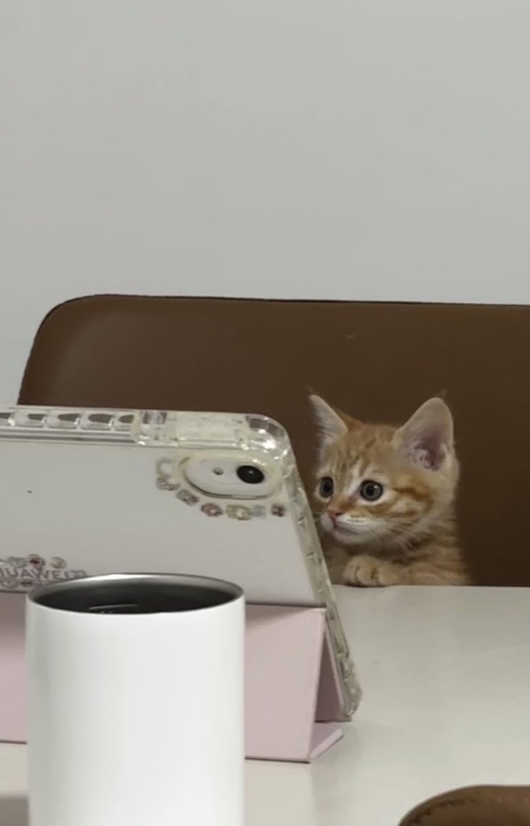 twaniimals's tweet photo. https://t.co/ebeTjHE8Kp