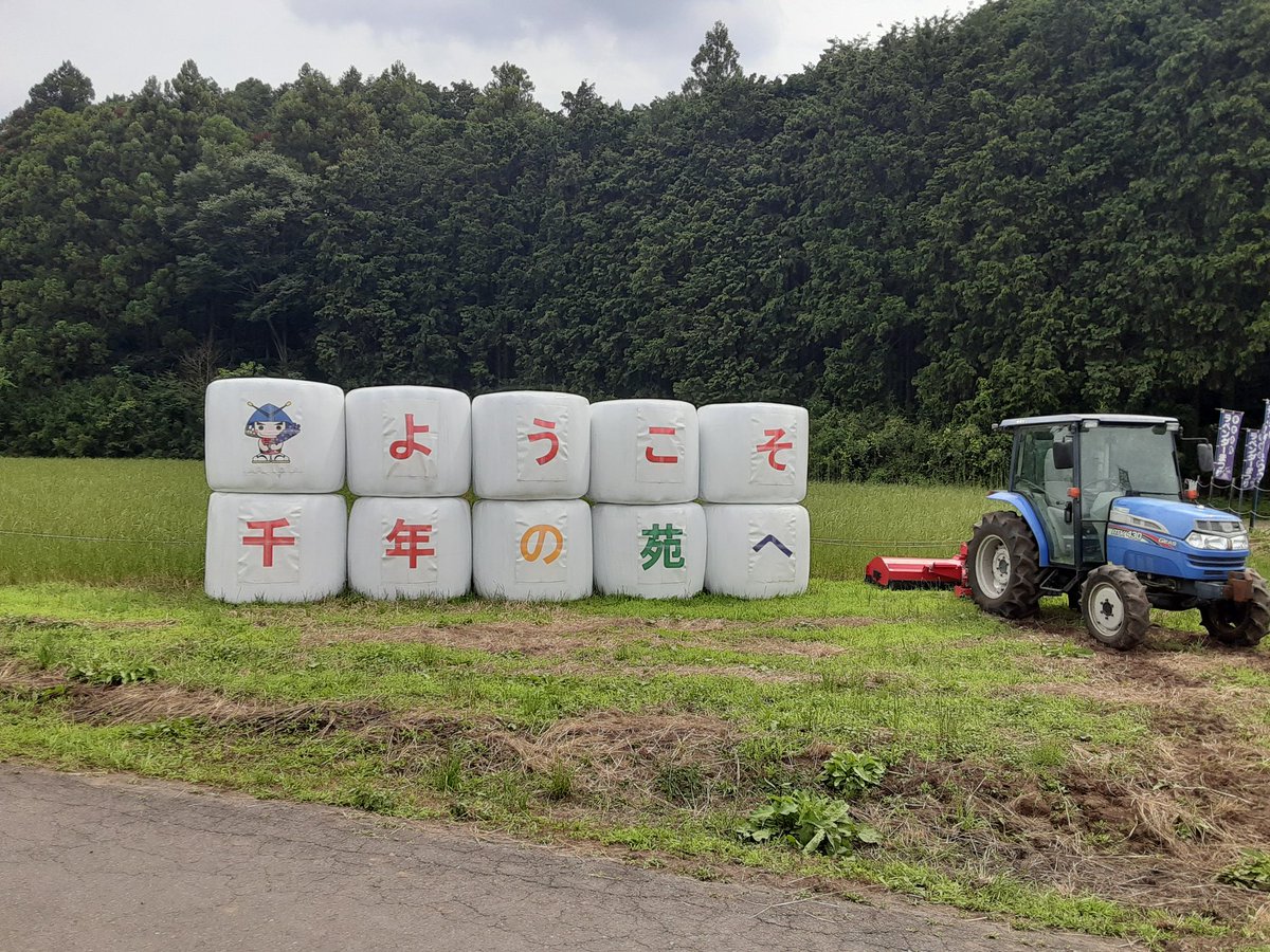 nekorapper's tweet photo. #土日ミルク
ラベンダーソフト 
@千年の苑ラベンダー園(6/23撮影)
らんざんラベンダーまつりは本日は🌀☔中止
29日(月)午前に刈取り体験出来るそうです✂️
#牛乳でスマイル
#嵐山町 https://t.co/XjIXHnUzG0