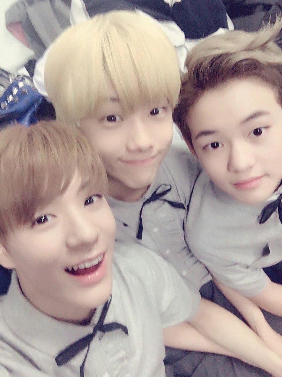 0z1yro's tweet photo. 진짜 애기들이였네 https://t.co/NTbVxetdKC