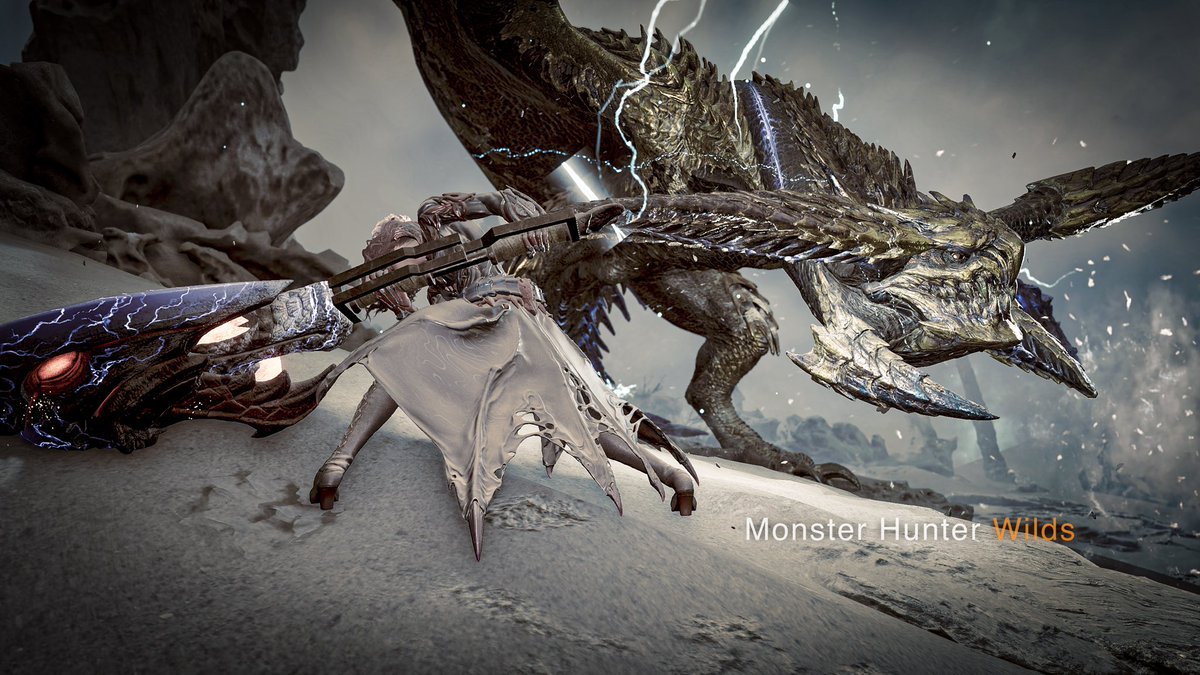 iberico_misc's tweet photo. レダウ狩猟
#モンハンワイルズ
#MHWilds https://t.co/QgL564DZ7Y