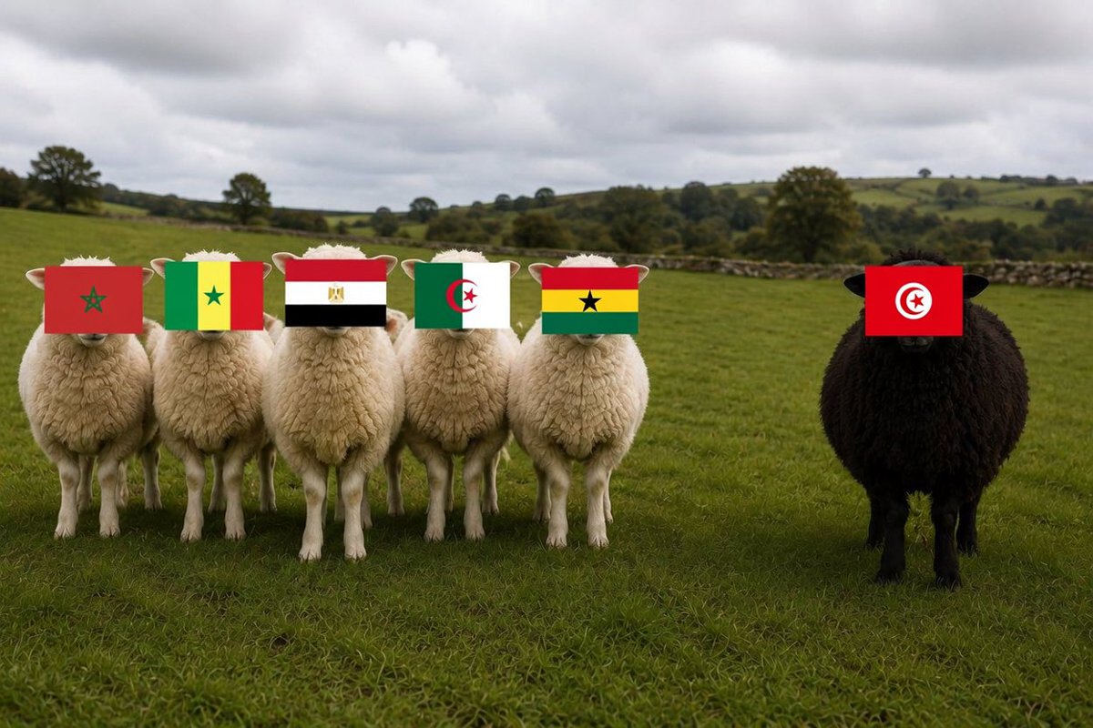Zadok_yoha's tweet photo. African countries in this world cup 

Tunisia and Algeria are not serious but we forgive them 🙏🇳🇬 https://t.co/hzJKHHYawq