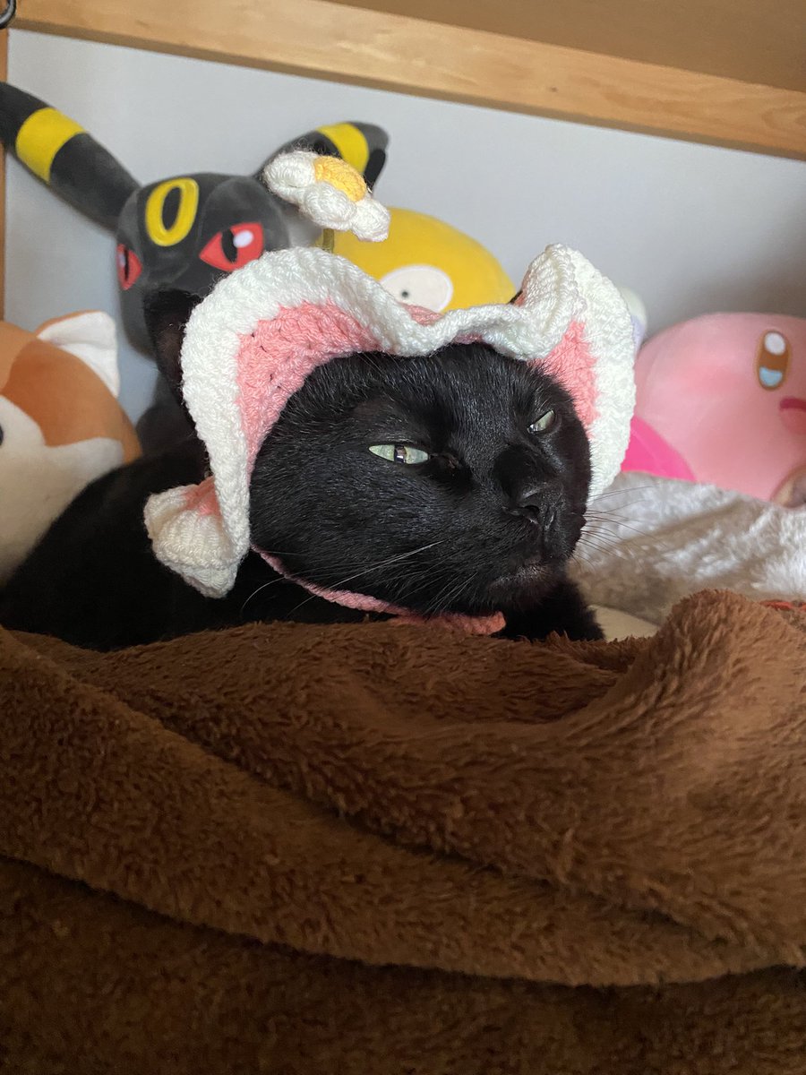 s2_leci's tweet photo. かわいい https://t.co/t4id2bcU7M