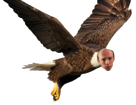 Jay3OW's tweet photo. 🇺🇸 AMERICA 🇺🇸

PUTTING THE BALD IN BALD EAGLE https://t.co/fN2CMsvw6n