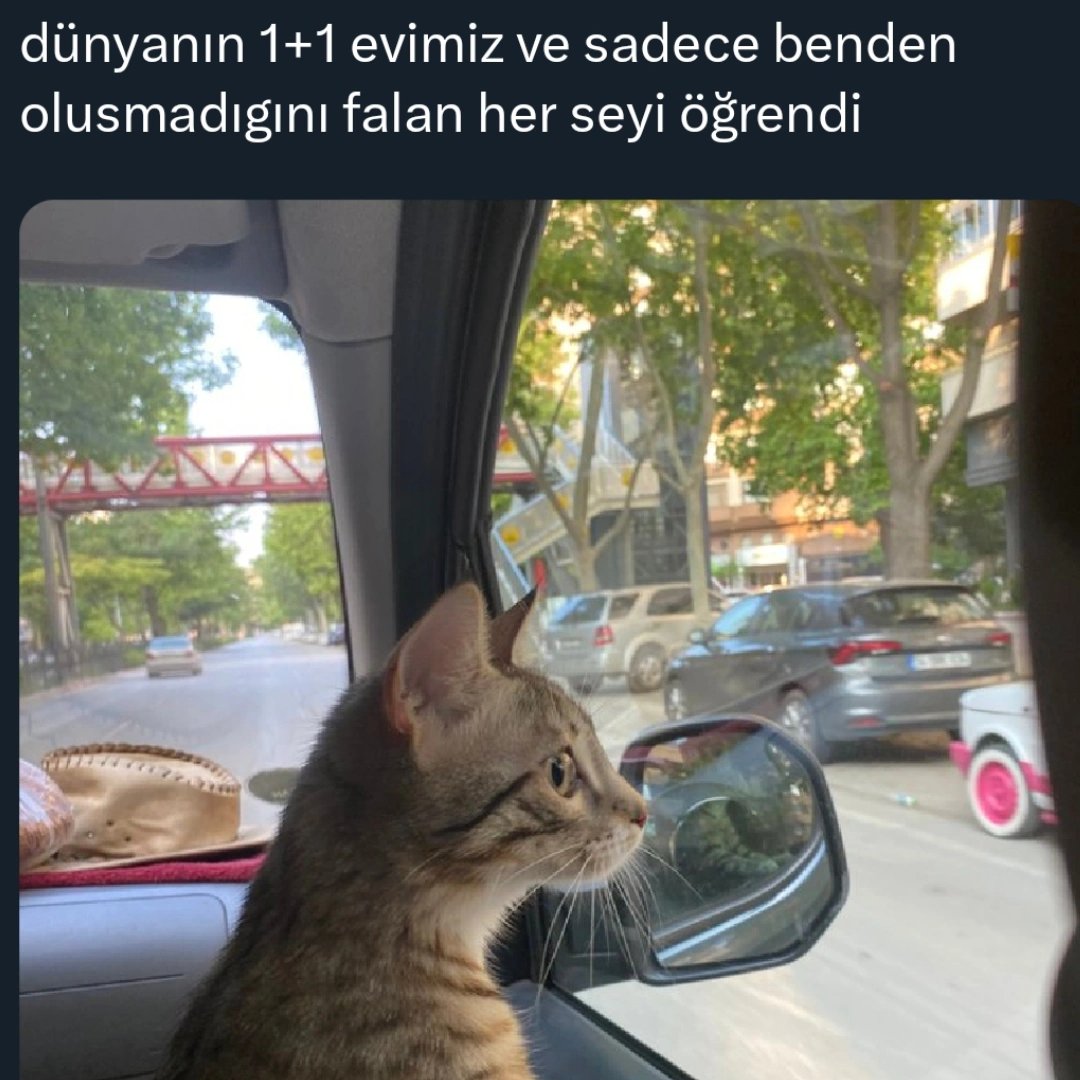 anlikmod's tweet photo. https://t.co/HjxqcOHPek