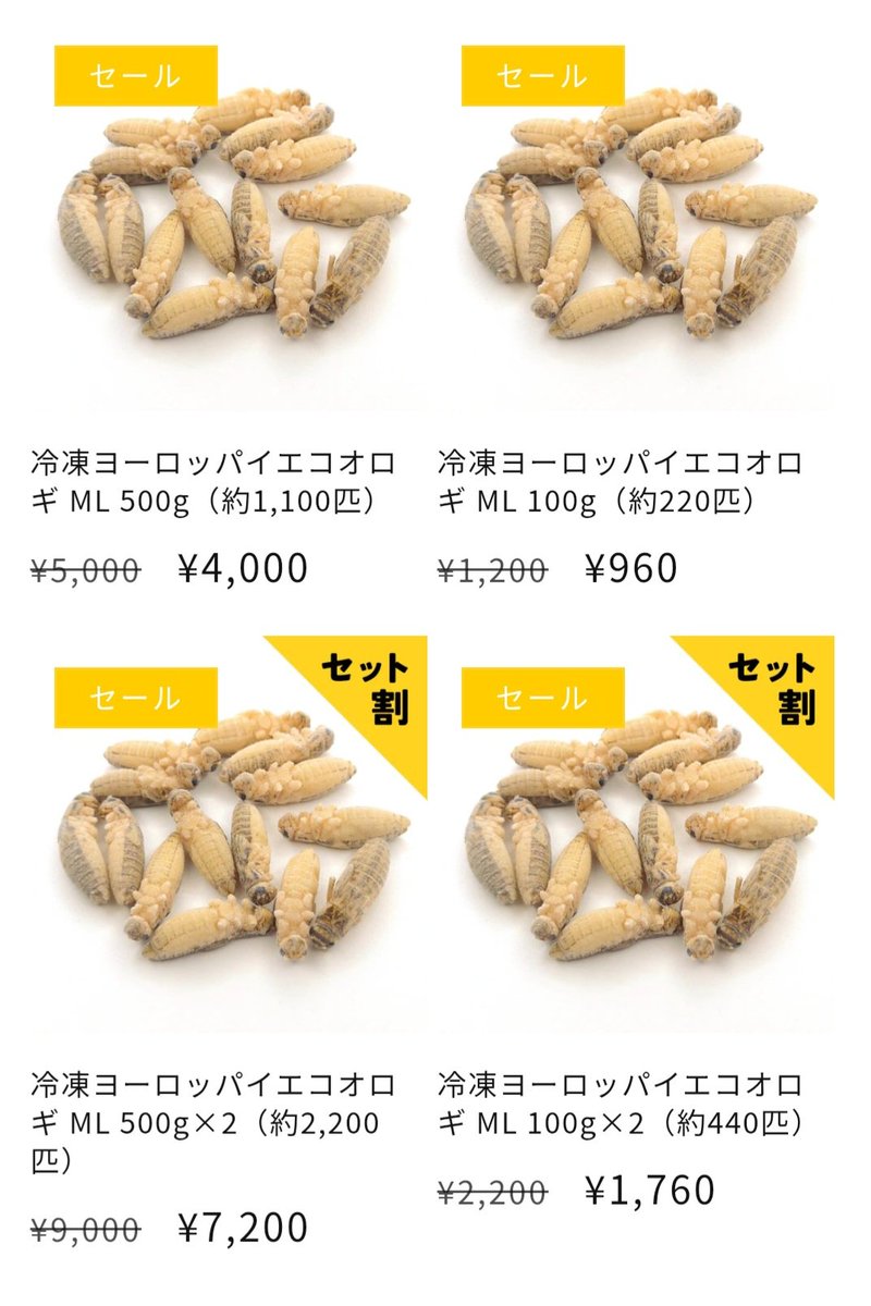 Tokiwa_Cricket's tweet photo. 7月31日までオープニングキャンペーンを実施しています！
期間中は全国一律送料無料・全品20%オフと大変お求めやすくなっております🎉
冷凍コオロギは2つでお得なセット割もございますので、この機会に是非お試しください🙌🏻
