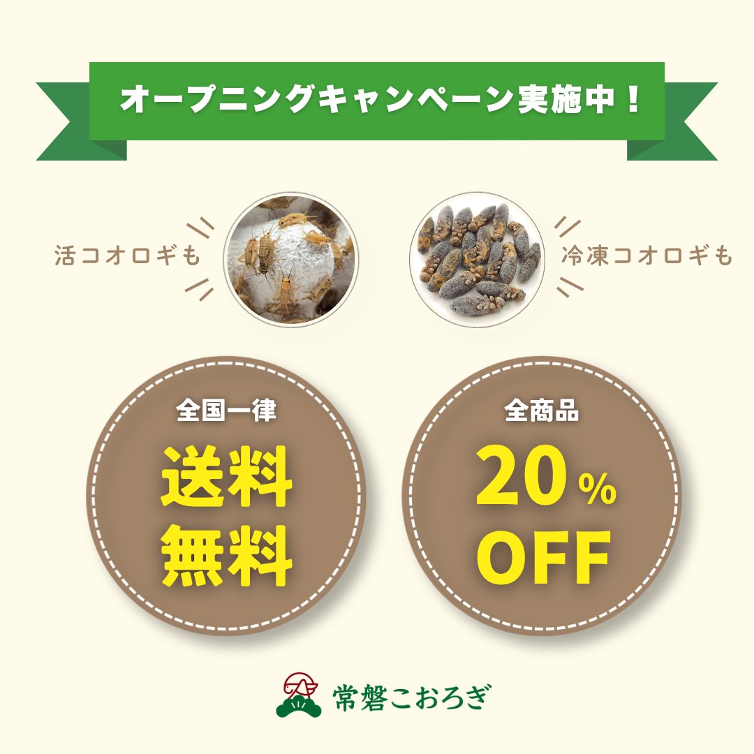 Tokiwa_Cricket's tweet photo. 7月31日までオープニングキャンペーンを実施しています！
期間中は全国一律送料無料・全品20%オフと大変お求めやすくなっております🎉
冷凍コオロギは2つでお得なセット割もございますので、この機会に是非お試しください🙌🏻