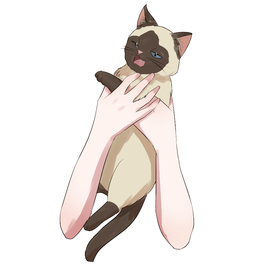 mochi_vator's tweet photo. 🐈Vtuber向け手のフリー素材🐈

／
人気素材にﾈｺﾁｬﾝ追加！ お好きなﾈｺﾁｬﾝをお選びください～
＼

使用条件はないので、ご自由にお使いください✨
🆗加工・編集

#VTuber素材　#VTuberAssets　#おはようVtuber素材

VTuberモデルさん募集をしています～！ 
よろしければリプライ↓のURLからどうぞ❣