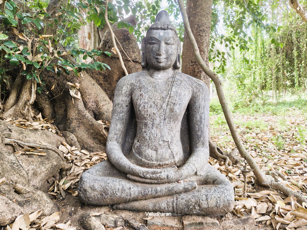 veludharan's tweet photo. #Buddhist_Temple #Pushpavanam, #Nagapattinam_District
10 ஆம் நூற்றாண்டைச் சார்ந்ததாகக் கருதப்படும் புத்தர்...
Believed to be a 10th-century Buddha Statue under a Peepal Tree at Pushpavanam Village in Nagapattinam District…
https://t.co/pRDQTG6cym https://t.co/5XKuh2E7Yn