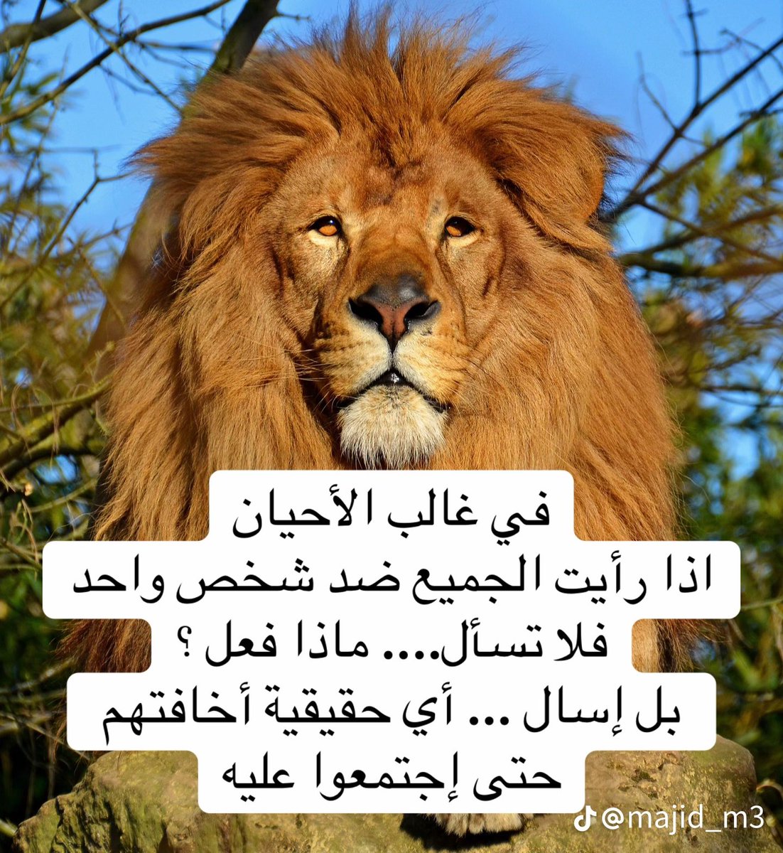 pRKEe511's tweet photo. @hussein_bn_atef ياربي لااتضعفنى 😅😅 https://t.co/r6ELp07yNL