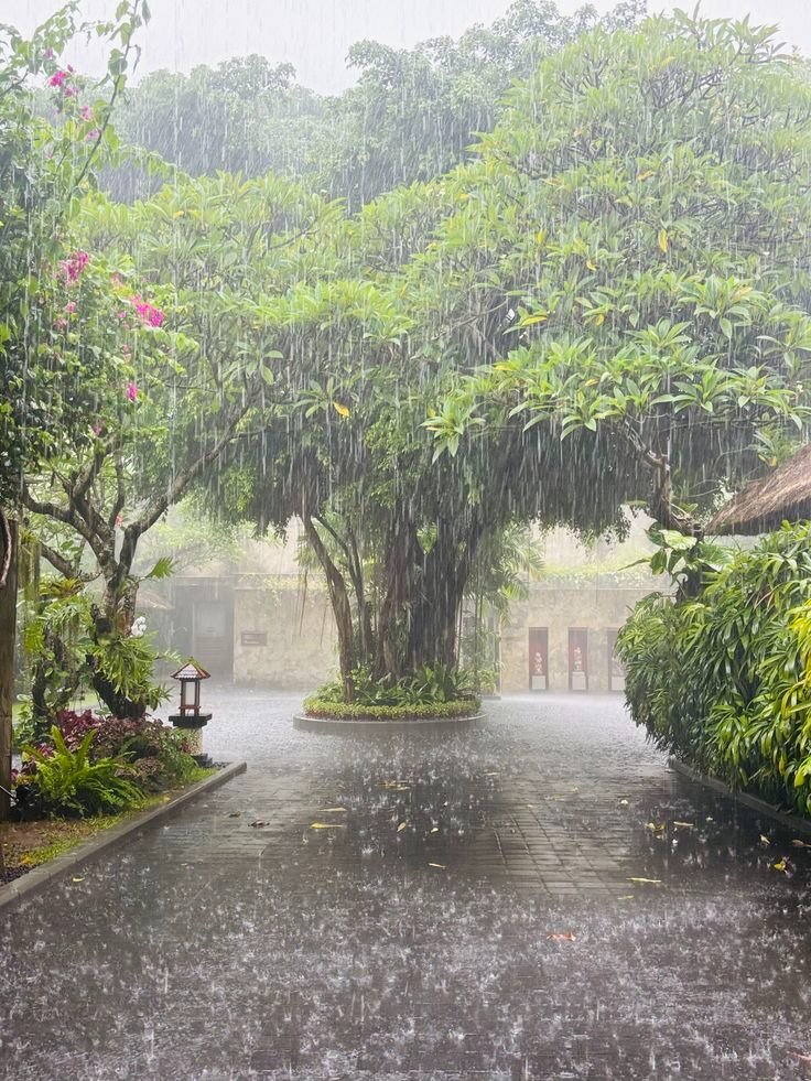 aestheticspost_'s tweet photo. I love rainy days. https://t.co/9vGOBfPNM7