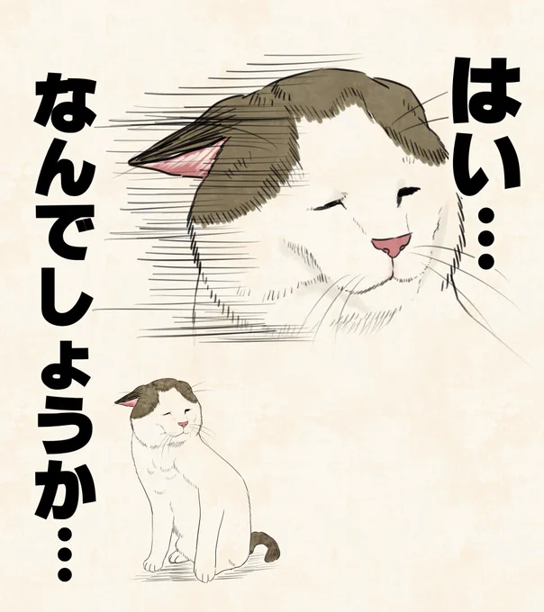 絶妙な顔でかわいい… 