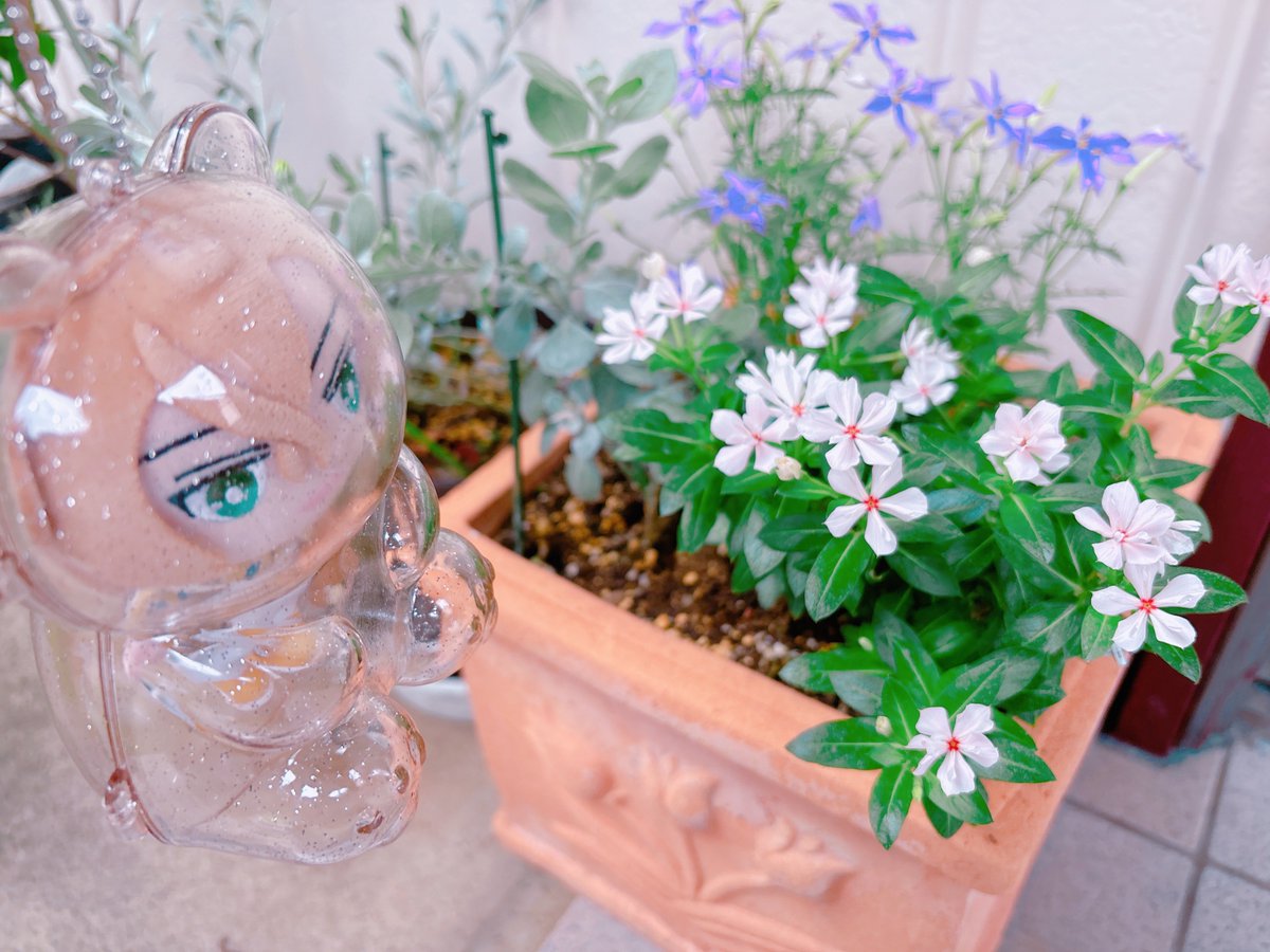 gt1aefn's tweet photo. 雨でも濡れないよ🧸☔ https://t.co/CV9y3emFFI