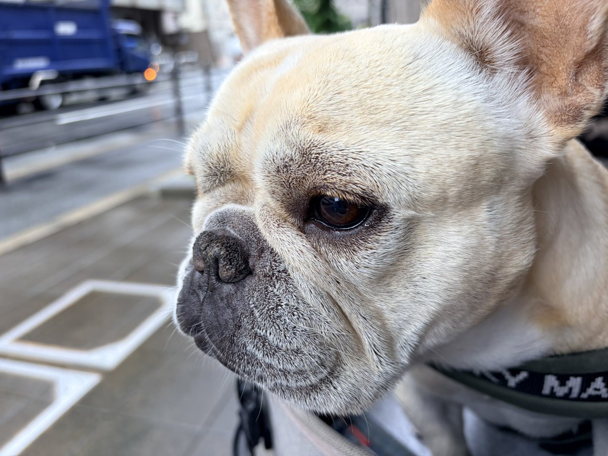 kubikirw's tweet photo. ふぅ https://t.co/zIi5QYGg1a