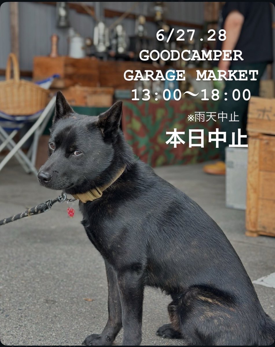 GoodCamper_son's tweet photo. おはようございます！

想像以上に雨が降り続いています。
昼頃から止みそうですが地面も乾きそうに無いので、本日は中止とさせていただきます🙇‍♂️

明日こそ開催したいです🙇‍♂️ https://t.co/z24bG9LZdj