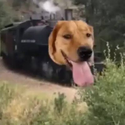 traindogmemes's tweet photo. train dog bore me away, through the monstrous scenery of slag-heaps, chimneys, piled scrap-iron, foul canals, paths of cindery mud criss-crossed by the prints of clogs. https://t.co/gpKMbmqlib