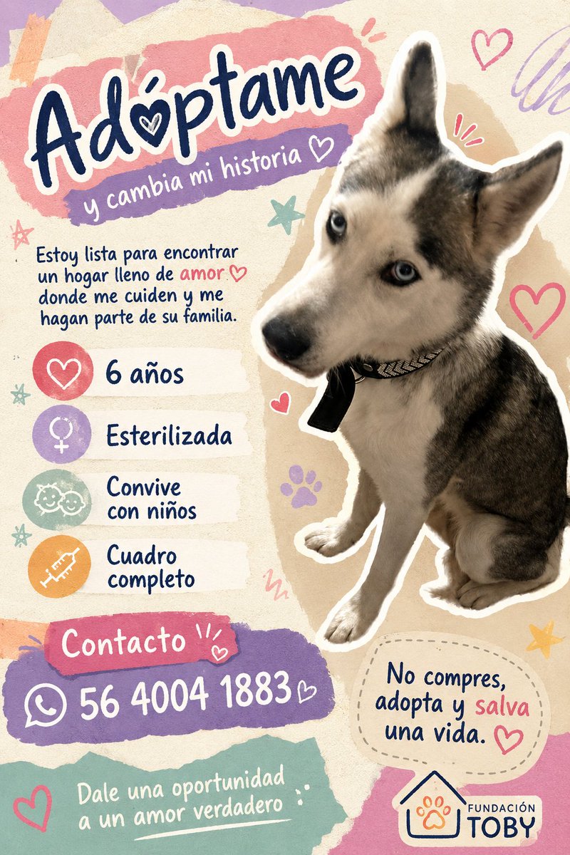 FundacionToby's tweet photo. Me ayudan a compartir? https://t.co/v1QZcPTthP