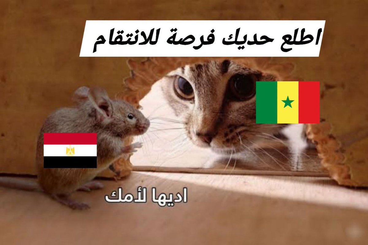dr51medhat's tweet photo. هو مفيش غير ام البلد دي على الكوكب !! https://t.co/BLO6kf4Sfl