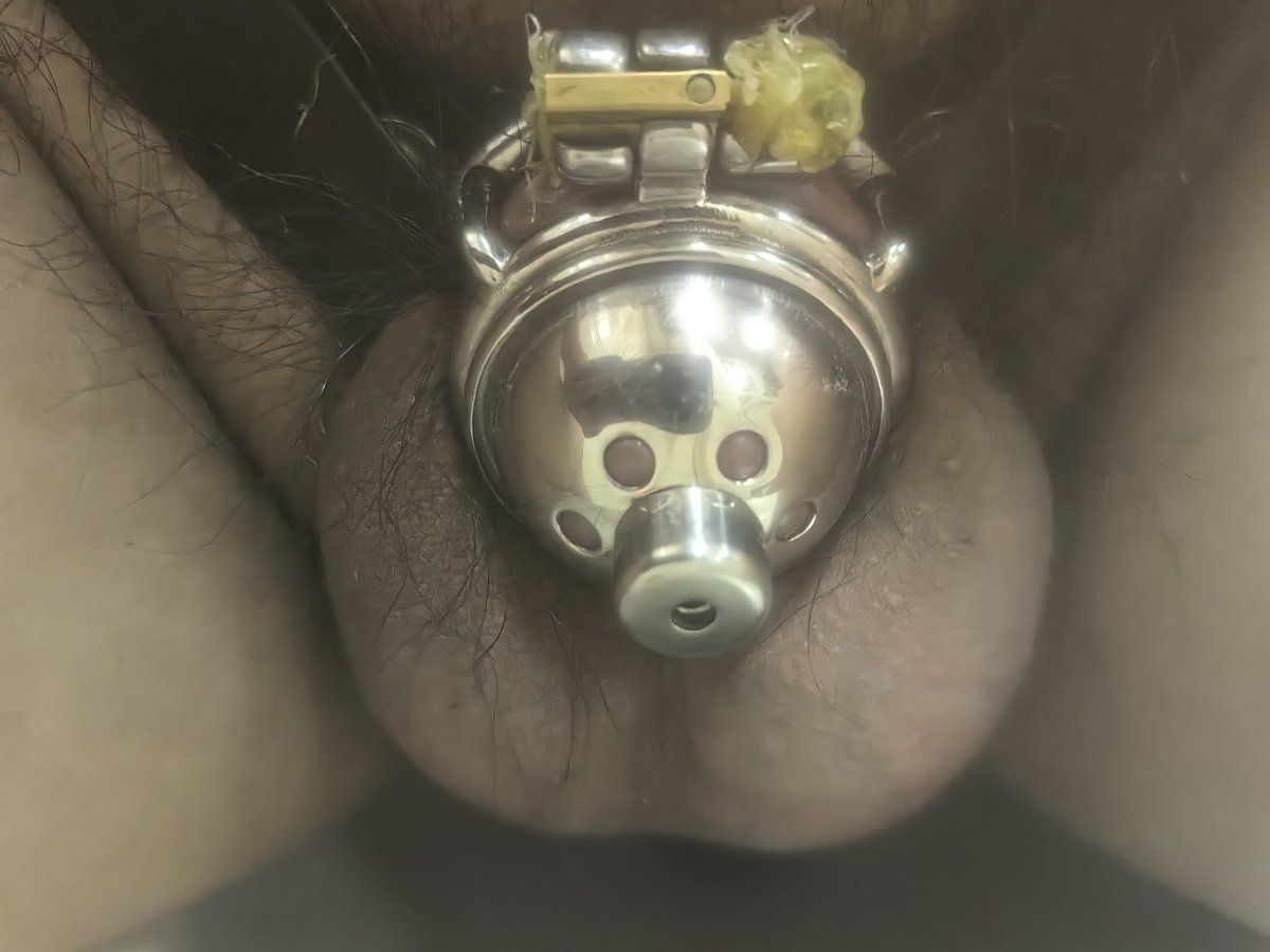augustin_TML's tweet photo. 定个小目标：30岁还是处男就永久锁死！
#贞操锁 #Chastity #处男 #废物 #绿帽奴 #Cage #小鸡巴 #Beta https://t.co/yaNpZ2DuKL