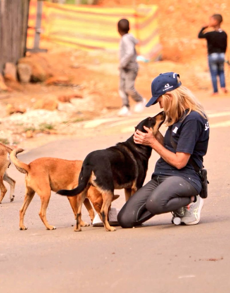 lolsielove's tweet photo. Saterdagoggend, 04:00. 🌅🐾

Terwyl die meeste mense nog slaap, sit ek en doen bietjie Zola's Paw Rescue admin. 
By my lê my twee woefers, veilig onder die komberse, besig om my warm te broei. Hulle weet nie van bankstate, veeartsrekeninge of reddings nie. Hulle weet net hulle is geliefd.

My gedagtes dwaal na al my ander hartsdiere, ek wonder hoeveel van hulle vanoggend koud lê, hoeveel is honger, hoeveel wag dat iemand hulle raaksien, hulle liefhet of net vir hulle aandag gee. En ek wens ek kon vir elkeen van hulle sê: Hou net nog 'n bietjie aan... iemand veg vir julle, en ek sal nie ophou tot elke kat en hond ook eendag onder iemand se kombers kan lê, warm, veilig en onvoorwaardelik geliefd.

Dis nie net 'n redding nie. Dis nie 'n werk nie. Dit is 'n roeping. ❤️🐾

Zola’s Paw Rescue