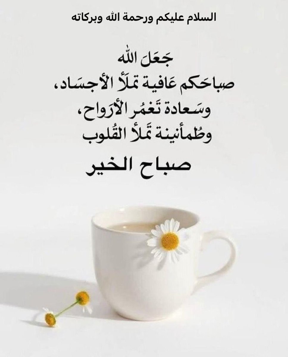 saeedal26962286's tweet photo. إشراقه الصباح 🌺🌹🤲🏻❤️ https://t.co/Fty1NnOpy7