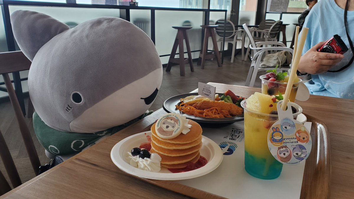 rotfaybg's tweet photo. 子ザメの前にごちそういっぱい！
何から食べるのかな？
#おでかけ子ザメ
#子ザメとまいにち
#アクアワールド茨城県大洗水族館 https://t.co/UvF5qoq9kf