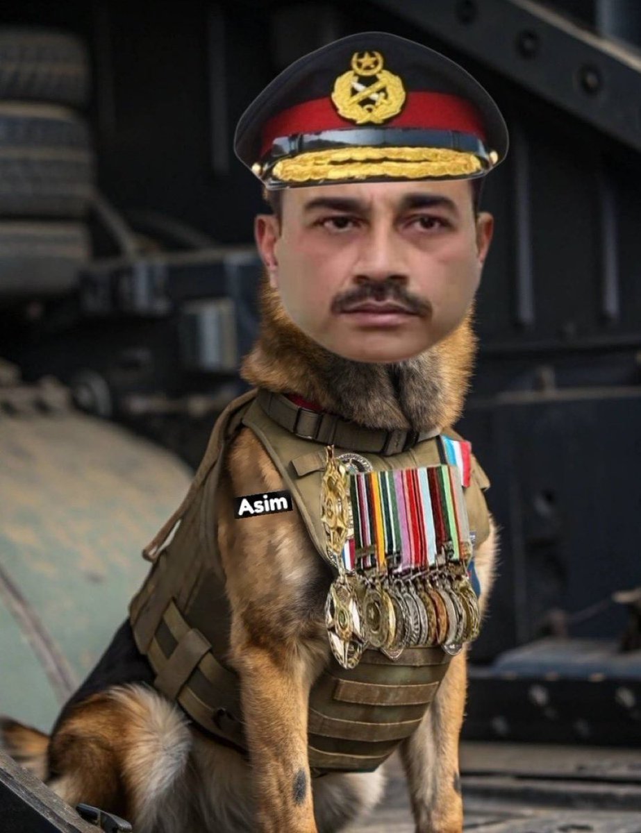GhaddarRai's tweet photo. @jacksonhinkle Thrice retired paki terr0r supporter $$ rental army thug drug mafia chief, @ss licker 🐖 🐕 of west https://t.co/QaIEMnERHE