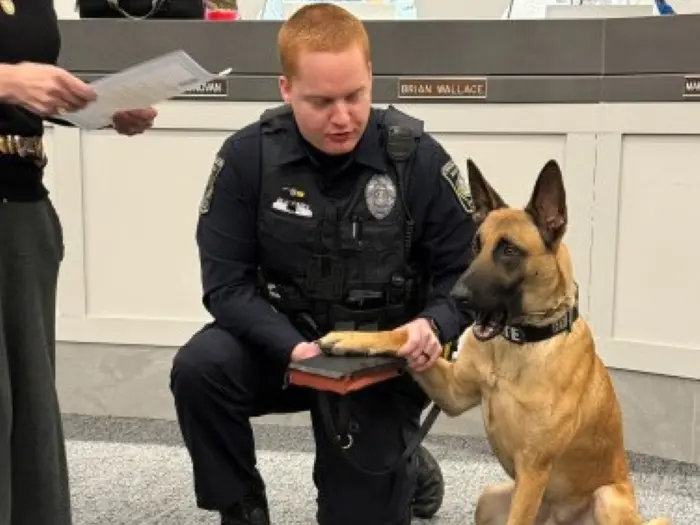 m_mceasy's tweet photo. @PoliceThePolic1 I'm still waiting for the day that a clever lawyer uses those 'cute/fake' swearing in ceremonies for dogs as a wedge to argue a 6th amendment failure to allow for cross-examining your accuser https://t.co/bdnt4yWtJg