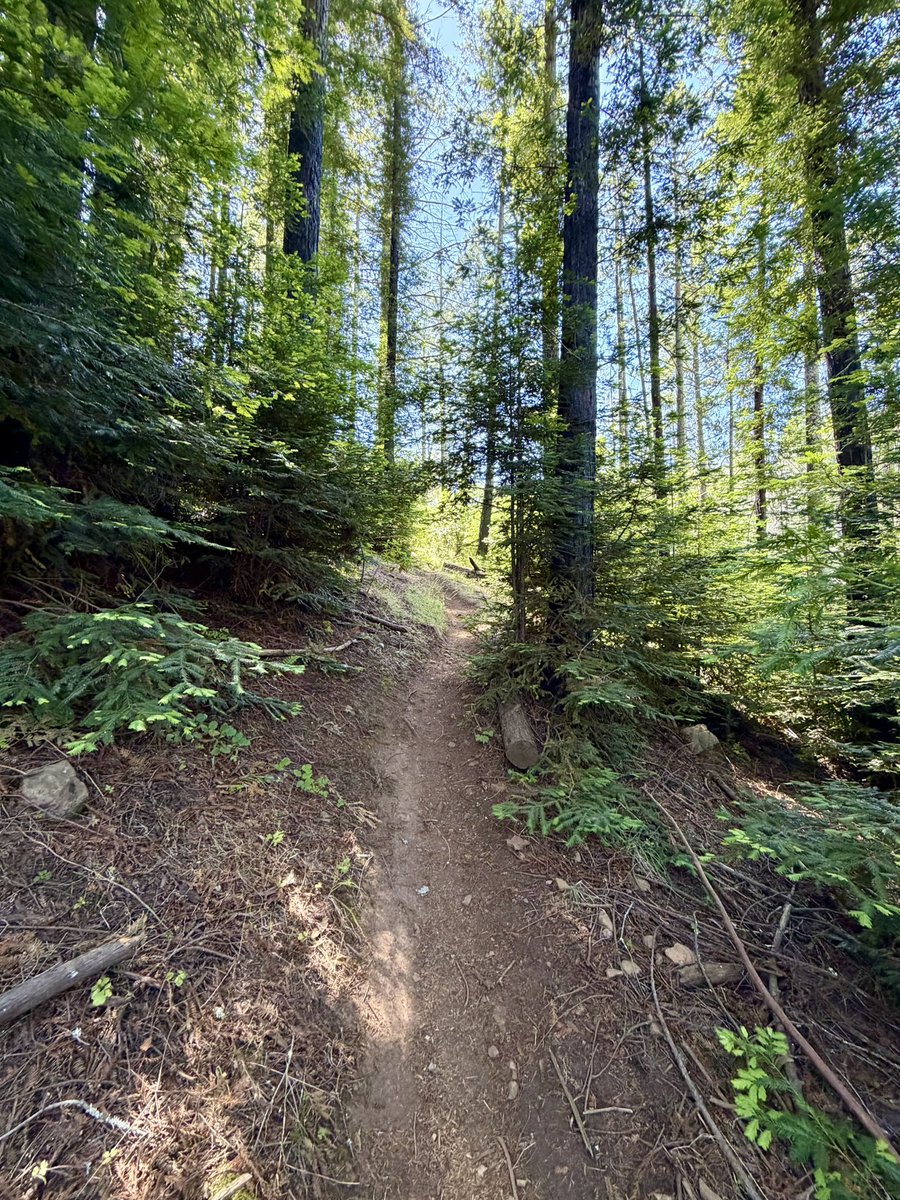 calicritters777's tweet photo. Heavenly Nature #hiking #NatureEscape https://t.co/4HjzbYJpcx