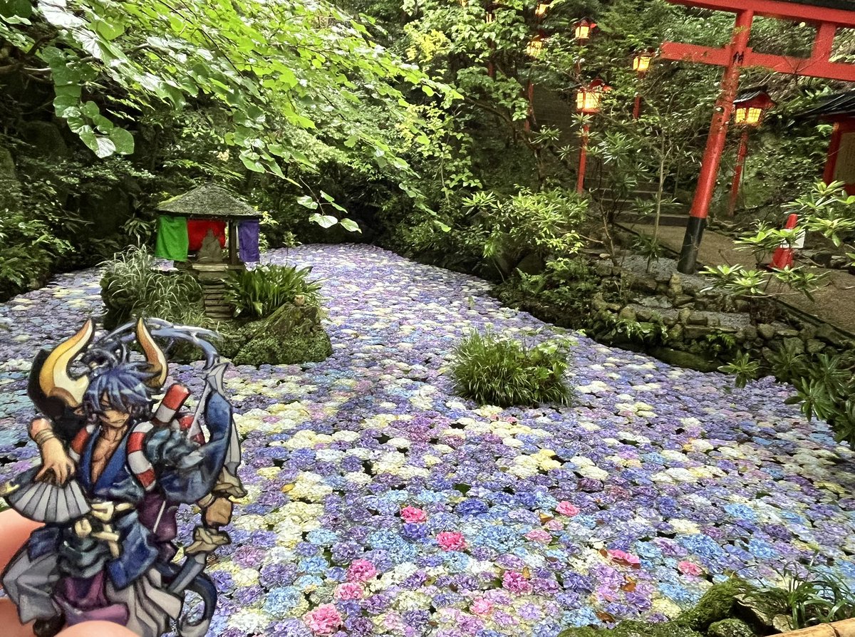 miroryu's tweet photo. 1度行ってみたかった南蔵院と紫陽花池💠花畑のようにも見える幻想的な美しさで綺麗だった☺️ミロクさんと風流を巡る旅もっと行きたい😚 https://t.co/q01rF7R6DC