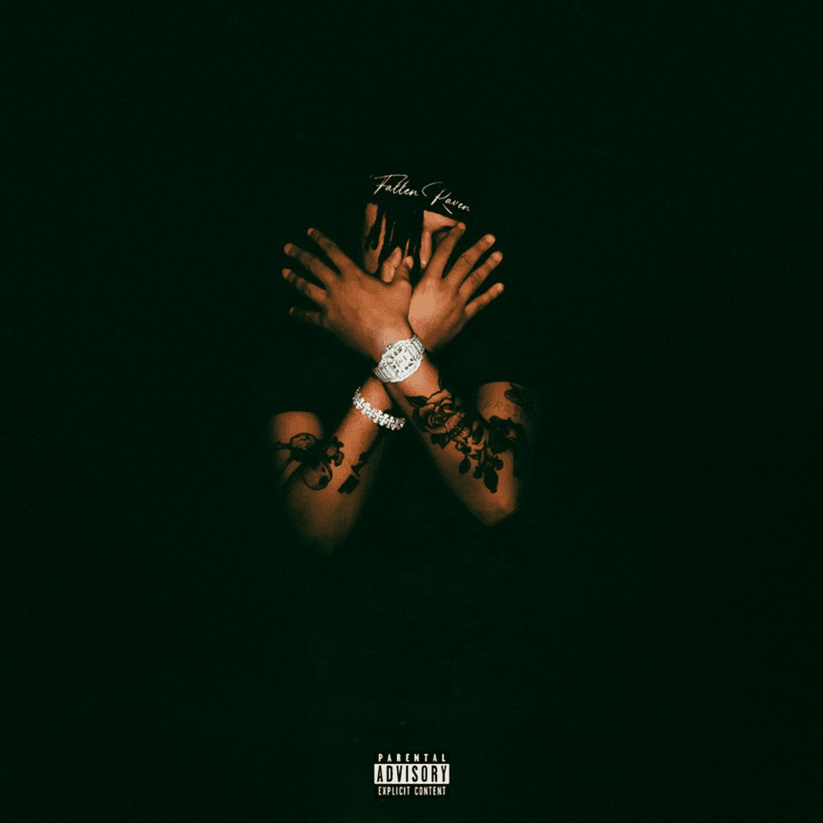 Kurrco's tweet photo. 4 years ago today, Summrs dropped 'Fallen Raven' 🦅

Favorite tracks on the album? https://t.co/ojC616r1Z5