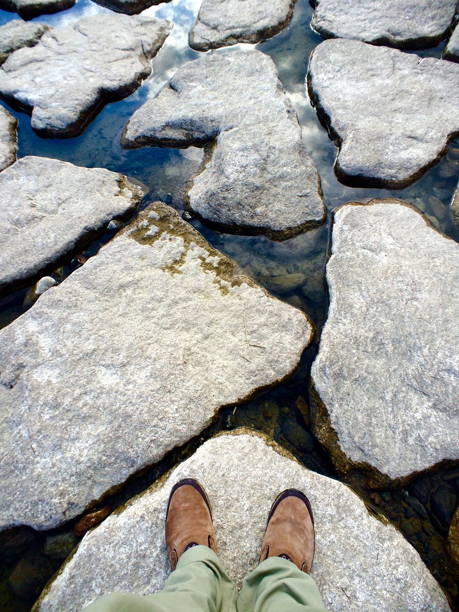 Rona66255T's tweet photo. Growth isn’t about being perfect. It’s about choosing to get up, try again, and learn even when it’s hard. Every small step counts. https://t.co/wJmz8cwR0d