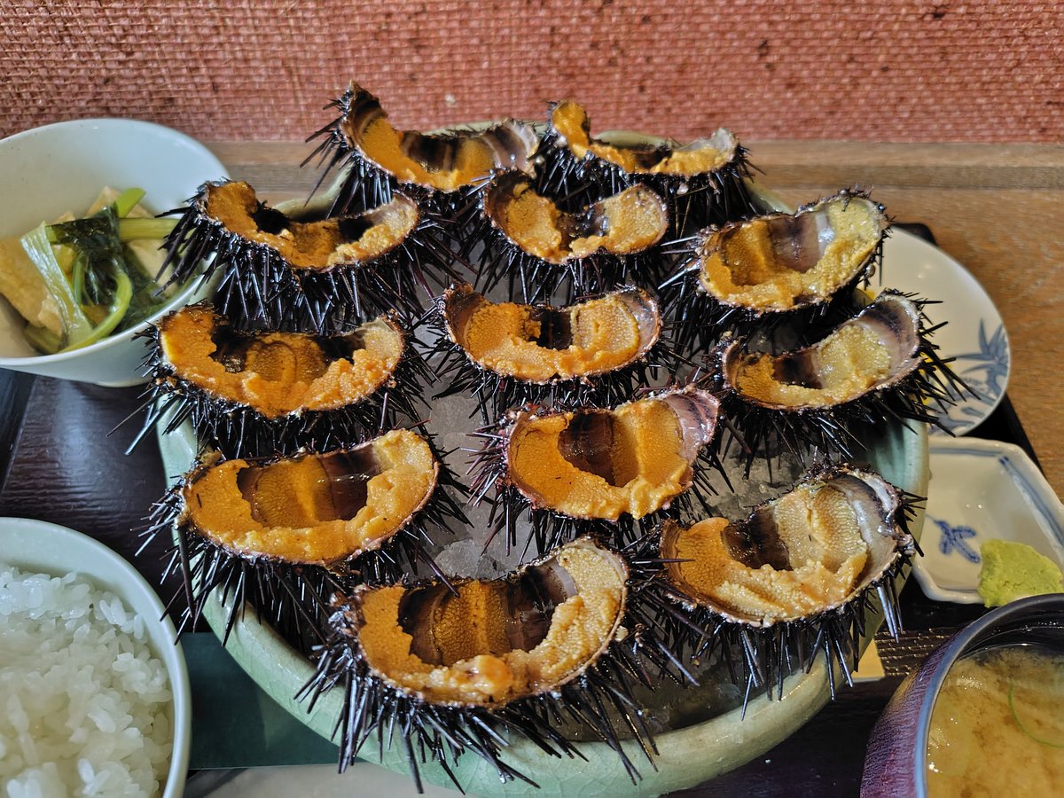 7luna_69's tweet photo. ランチ！
めちゃくちゃ美味しかった！！！ https://t.co/ELESr1taXD