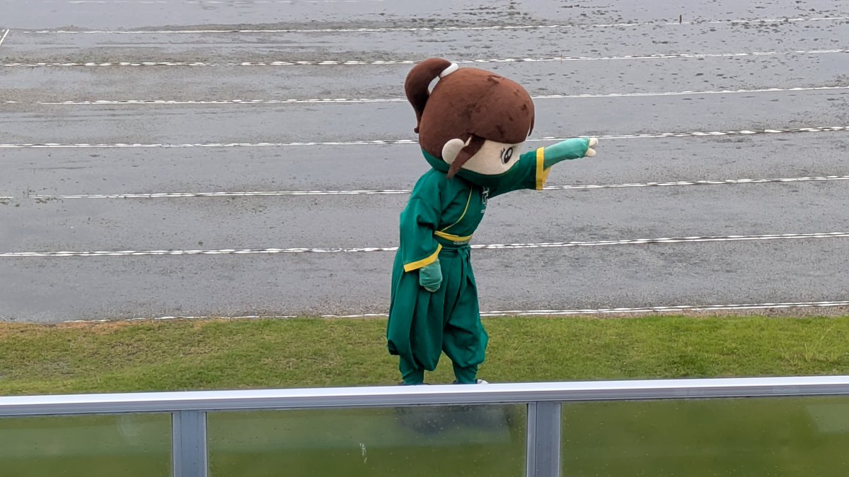 B_su_ke's tweet photo. 雨でも踊るくノんちゃんヽ(´▽`)ﾉ https://t.co/KBvXkM2YtN
