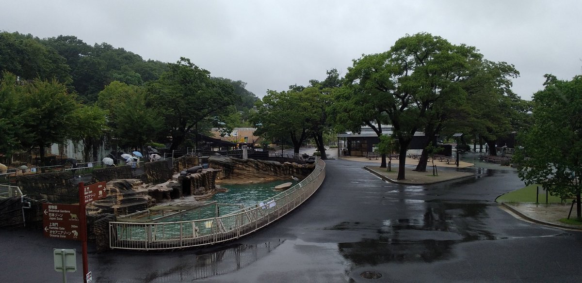ddon_hawk's tweet photo. 雨の動物園は空いてて好き😊 https://t.co/NcopfWPRiA