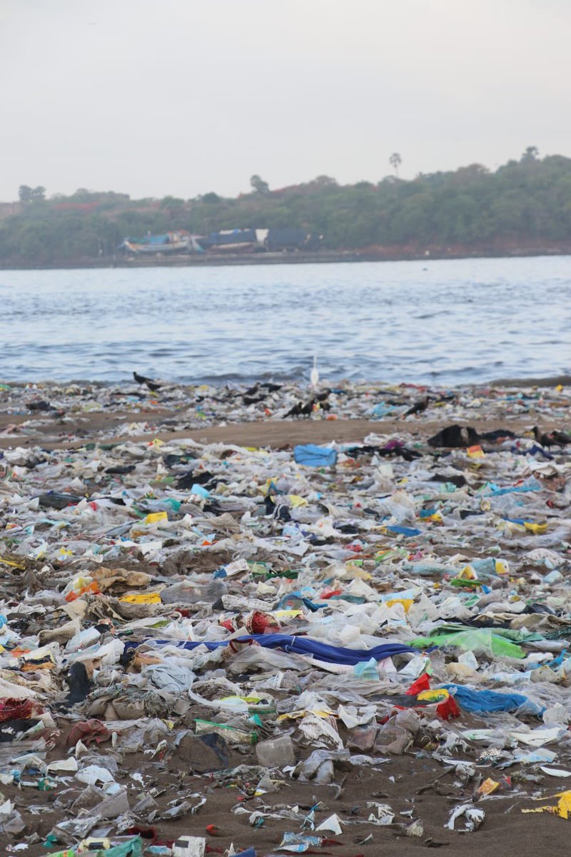 AfrozShah1's tweet photo. Week 589

Lovely morning at Versova beach.

Lots of garbage at the beach.

Lots of hand at the beach

16000 kgs of marine debris plucked out.

Our bit today. https://t.co/ziARK4kmh6
