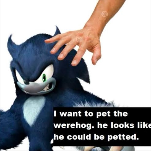 sonnithewerehog's tweet photo. @MatiosDX https://t.co/akNcxhpYa5