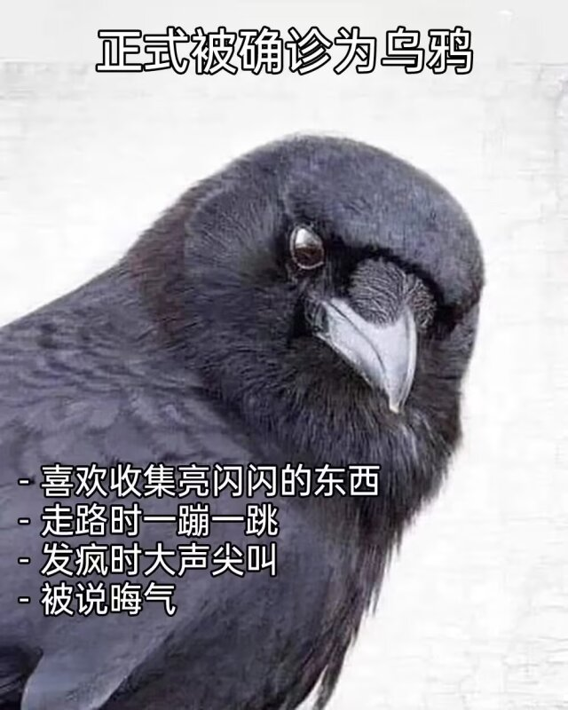 Poca2381's tweet photo. 正式被确诊为乌鸦 https://t.co/YjAG9wKMtw