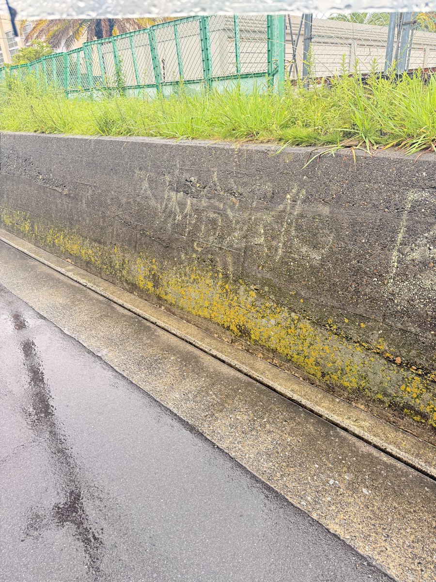 harutoking's tweet photo. なんやこの落書きはw
雨の中散歩しててワロタw https://t.co/ytX28nV3Un