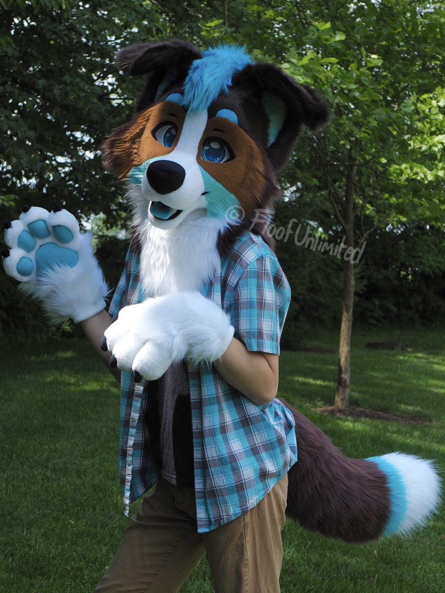 floofunlimited's tweet photo. Kibby vs puppy mode for this fursuit Friday 🧡💚
Ube and Cliff will be seeing you in the dealers den as my premades for Anthrocon this year 😌 https://t.co/slXK4ZYnNS