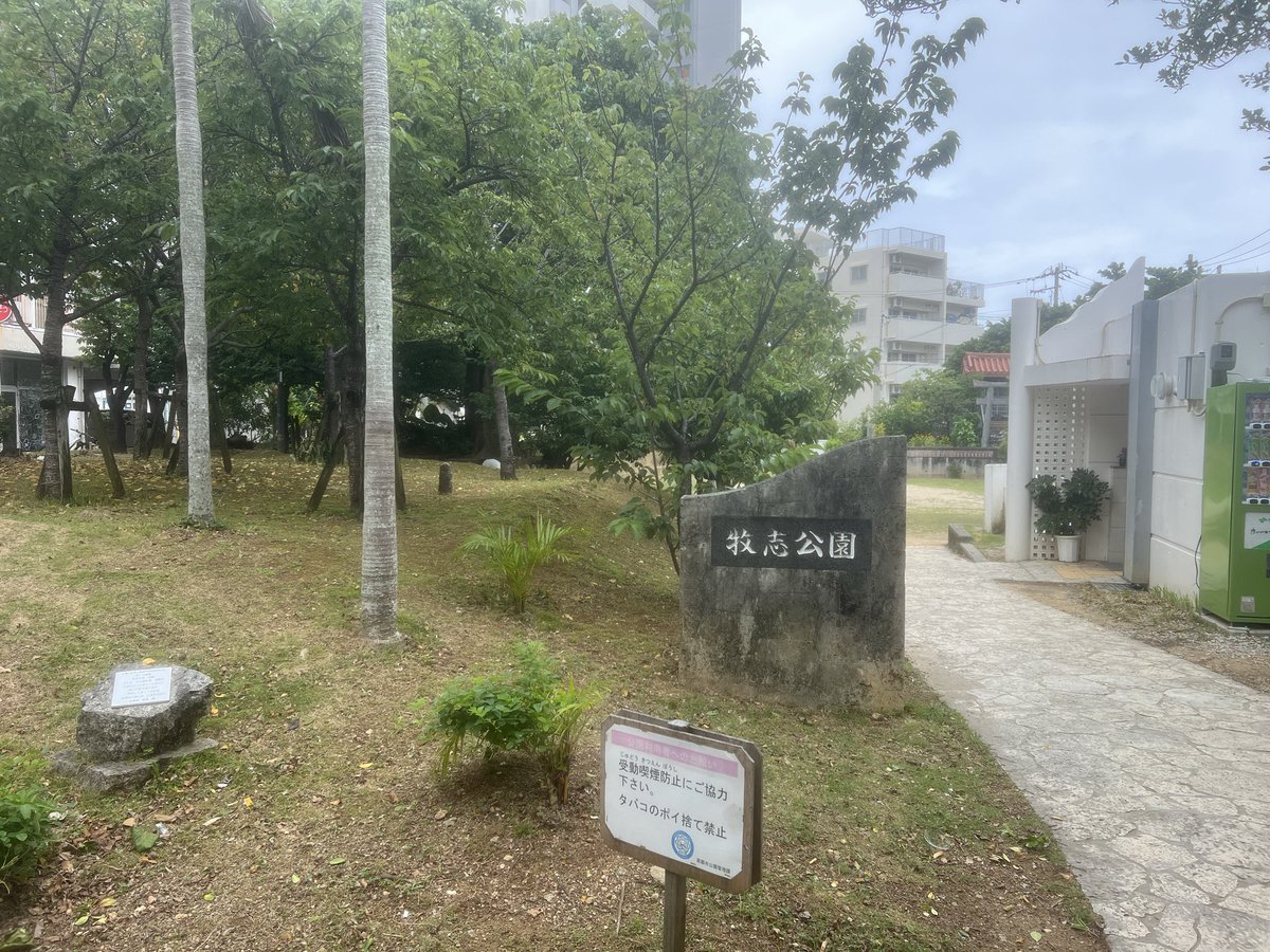 ミサオ・レッドウルフ🐺 🩷れいわ新選組・参議院政委員 tweet media