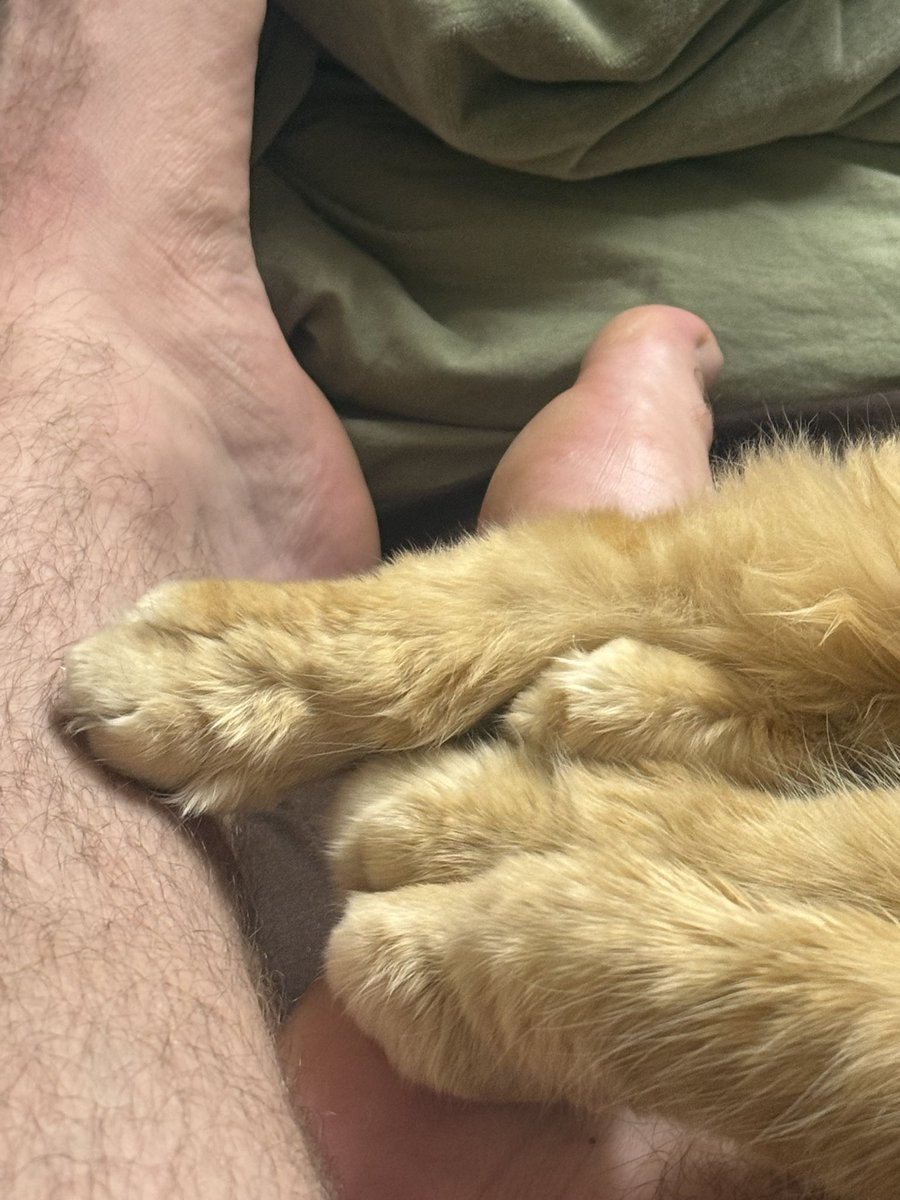 Limpcooter's tweet photo. All 16 beans on me 😌 https://t.co/hGzcz2H9GI