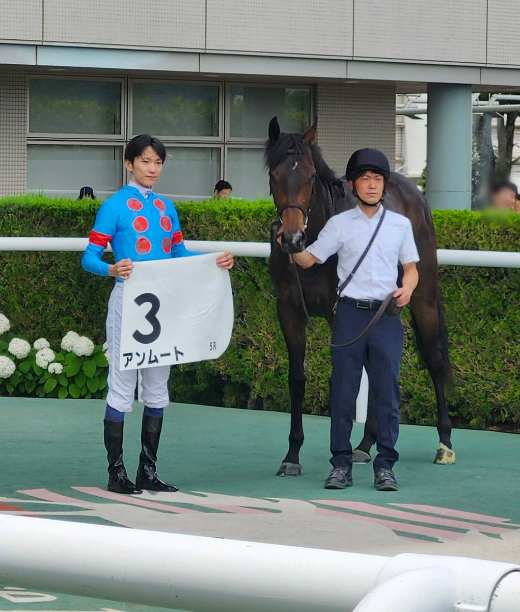 アンビーユ　競馬場 アンムート1着🥇 デビュー戦勝利おめでとうございます🎉 #アンムート