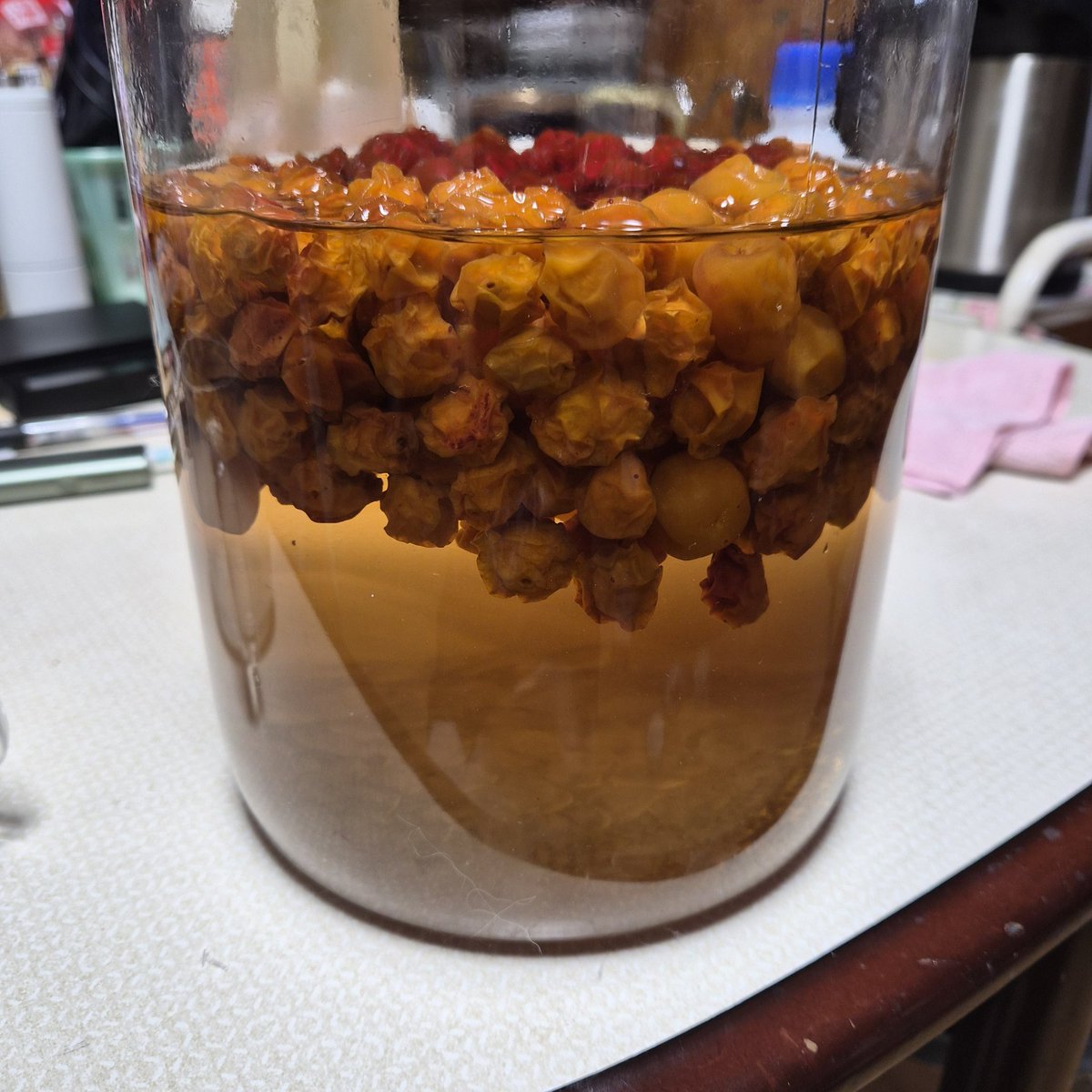 DODEKAI_tikuB's tweet photo. 梅シロップでけた
氷砂糖多すぎて溶け切らなかった
5億年ぶりに飽和水溶液量って単語を思い出したよ https://t.co/MhjwLZ5IYx